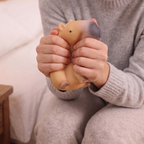 Capybara Squeeze Toy