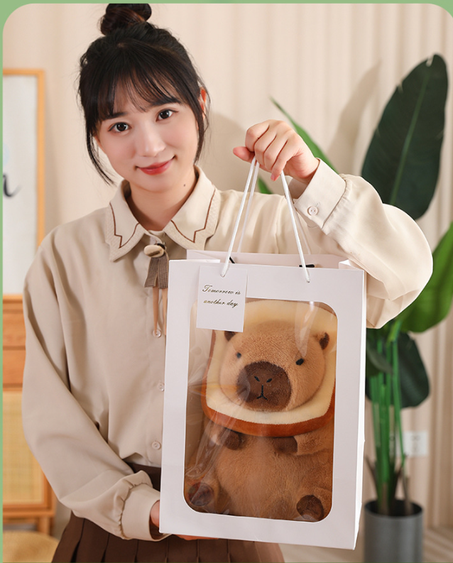 Capybara Character Plush Toy